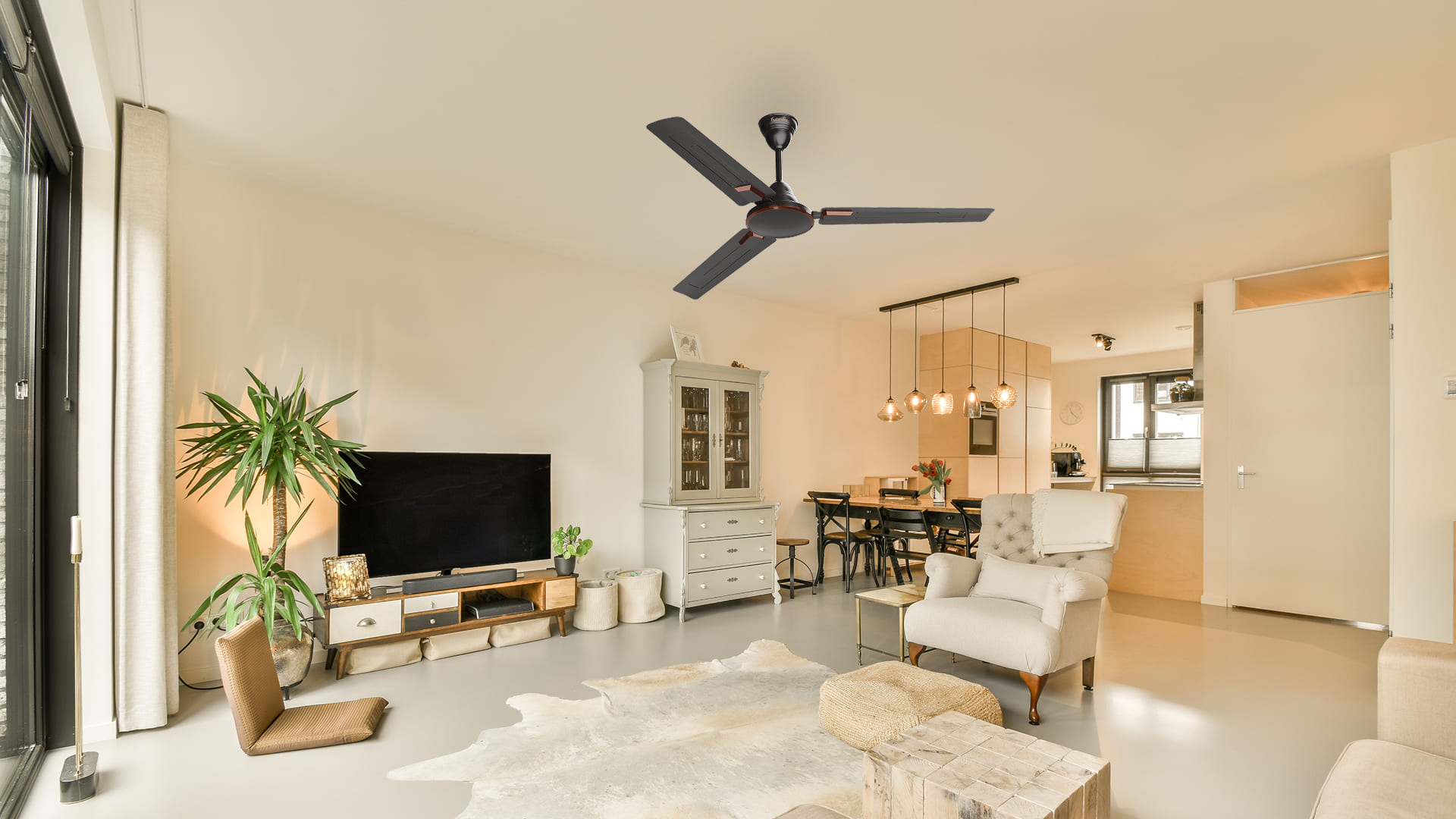 Designer Fans for Living Rooms | Stylish & Modern Fan Ideas