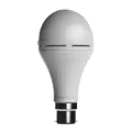 Hybrid Duo Inverter LED Bulb