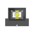 NOVA UP/DOWN LIGHT