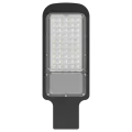 Oval Street Light (20W-100W)