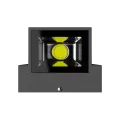GAZE UP/DOWN LIGHT