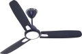 Olympia Ceiling Fan for wide area coverage with high-performance airflow and durability.