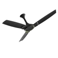 Energy-saving Casa BLDC Ceiling Fan with silent operation and remote control