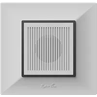 Buzzer