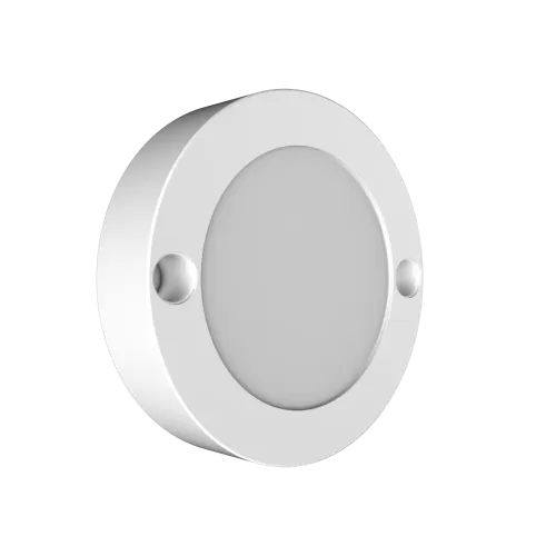 Zest Stricker Surface Light