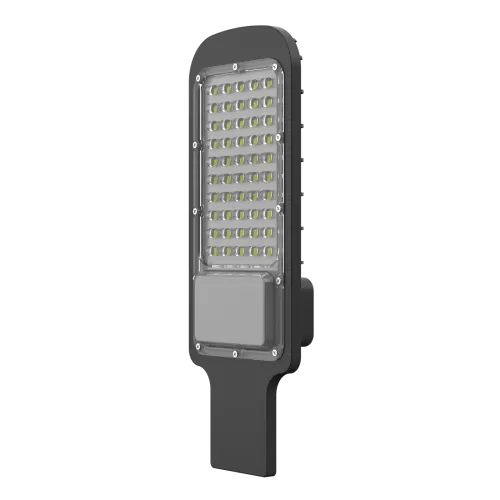 Oval Street Light (20W-100W)