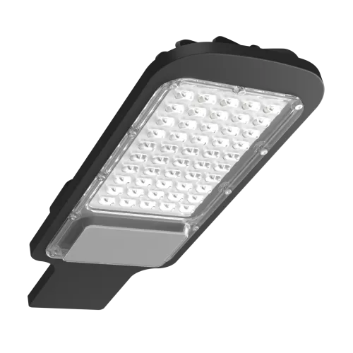 Oval Street Light (20W-100W)