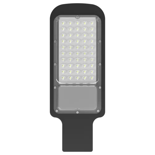 Oval Street Light (20W-100W)