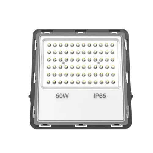Elise Flood Light (30W-200W)