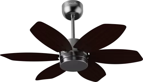 Contemporary Loft Ceiling Fan with powerful motor and designer appeal for urban spaces.
