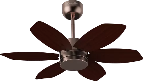 Contemporary Loft Ceiling Fan with powerful motor and designer appeal for urban spaces.