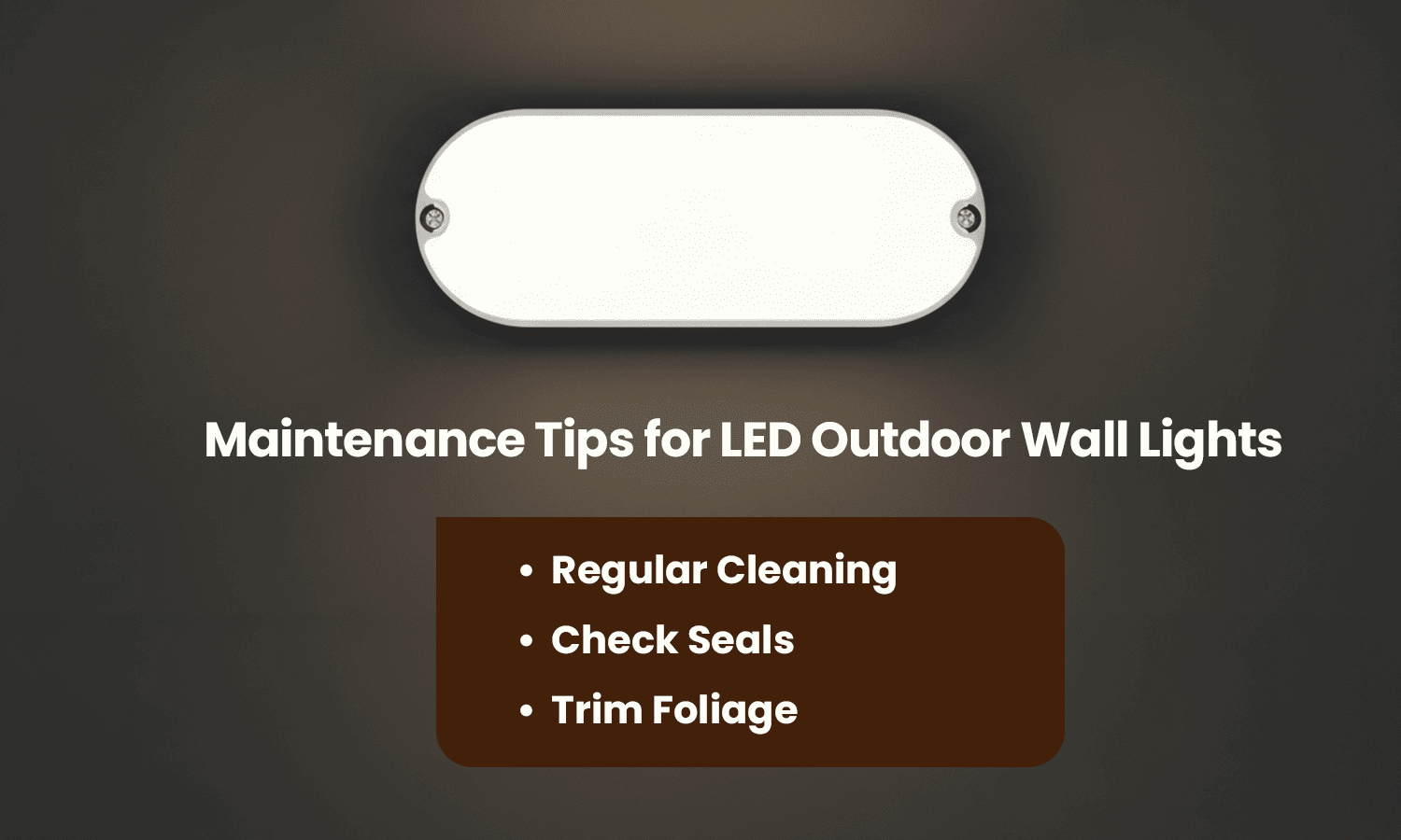LED outdoor wall light maintenance tips infographic.