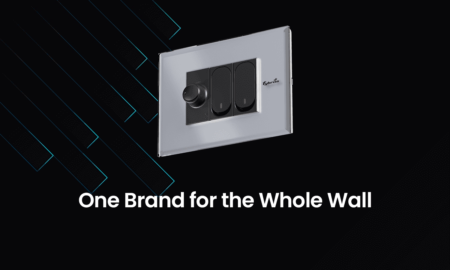 switch brands
