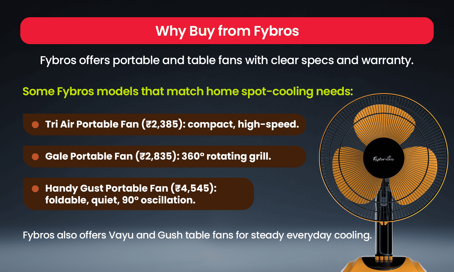 Why buy from FyBros – portable and table fans with features, prices, and FyBros fan illustration.