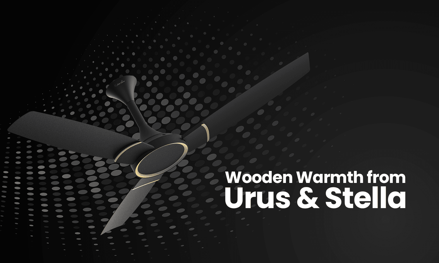 wooden ceiling fan products